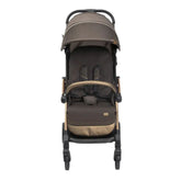 Chicco Goody Xplus Bebek Arabası Bronze Lizard